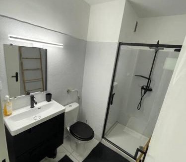 Erstein Apartment | Au Cosy Studio II proche Europapark