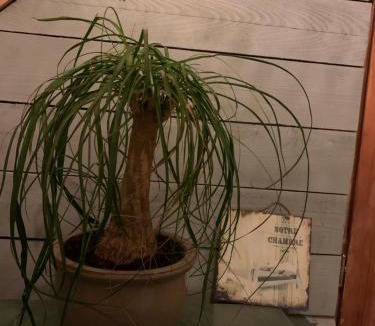 Touquin Bed & Breakfast | Au Joyeux Lureau