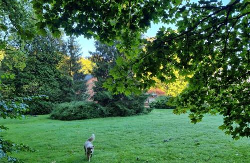 Le Nouvion-en-Thierache Hotel | Auberge de la Forêt