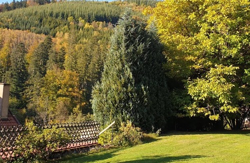 Natzwiller House | Beautiful Gîte in Vosgian Farm, Quality Services