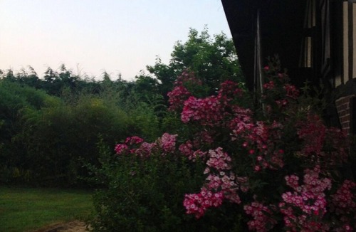 Maniquerville Villa | Beautiful Normandy villa near Etretat for 16 people, 5 minutes from the sea