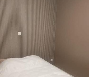 Saint-Quentin Apartment | Bel Appartement Centre-Ville