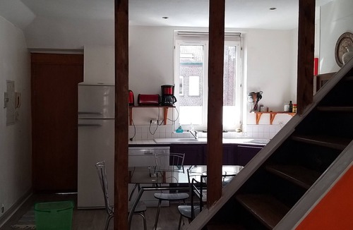 Vauban - Wazemmes Apartment | BRIGHT DUPLEX IN LILLE WAZEMMES