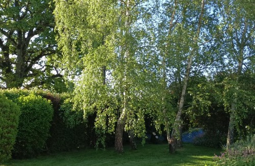 Servignat Bed & Breakfast | Cadol'Ain