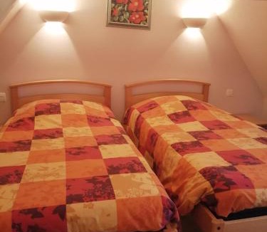 St Denis de Gastines Bed & Breakfast | Château du Bourg