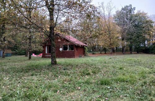 Valpuiseaux Ski Chalet | Chalet en forêt, brame du cerf