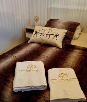 Mandres Bed & Breakfast | Chambre d'hôtes au Haras d'Agathe et ses princes