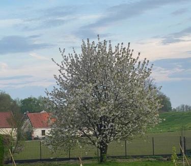 Mont-Saint-Eloi Bed & Breakfast | Chambre des Tours