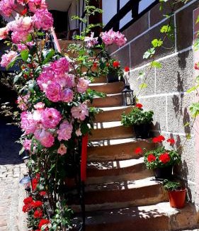 Rott Bed & Breakfast | Chambres d'hôtes "La Petite Vallée"