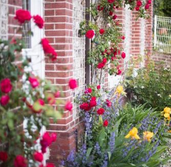 Yport Bed & Breakfast | Chambres d'Hôtes Stella Mare