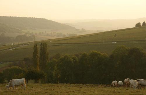 La Chapelle-Monthodon Bed & Breakfast | Chambres D'hotes & Champagne Douard