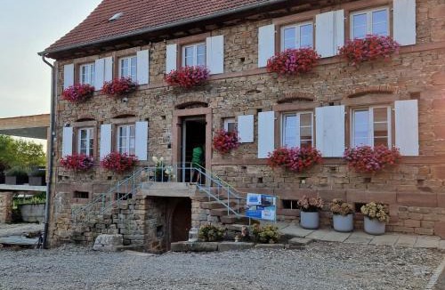 Preuschdorf House | chambres d'hotes chez Linda Stéphane le passé composé