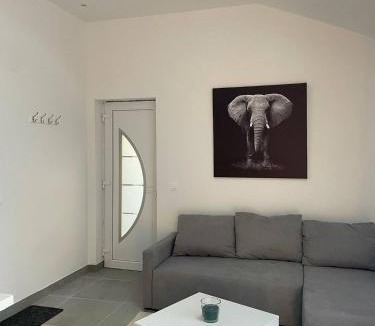Niederhausbergen House | Charmant studio avec piscine, calme et confort à l'entrée de Strasbourg