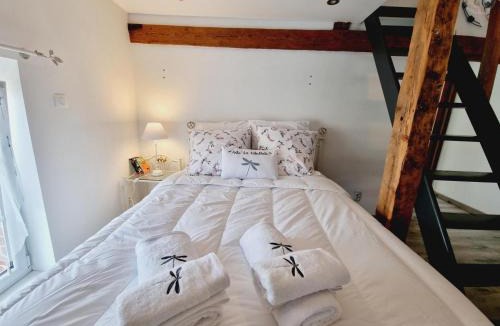 Cartignies House | Charmante maison avec jardin, spa à proximité, idéale pour famille et couple, animaux acceptés - FR-1-510-214