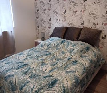 Luxeuil-les-Bains Apartment | Chez Arthur et Cie