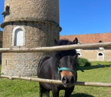 Hesdin-l'Abbe House | Domaine du SAAJ Côte Opale 8 personnes