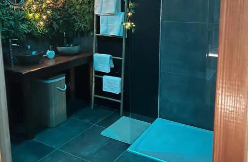 Loon-Plage House | Escapade Zen Oasis Tropicale Spa Privatif