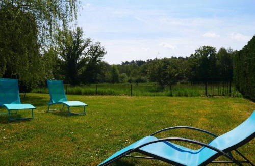 Ligny-le-Ribault House | Gîte en Sologne avec Étang Privé, Pêche et Proximité des Châteaux de la Loire - FR-1-590-39