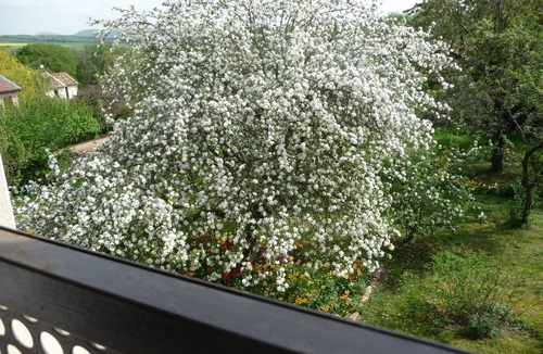 Villers-en-Haye Apartment | GITE-APART comfortable between Nancy and Metz in "Little Switzerland Lorraine".