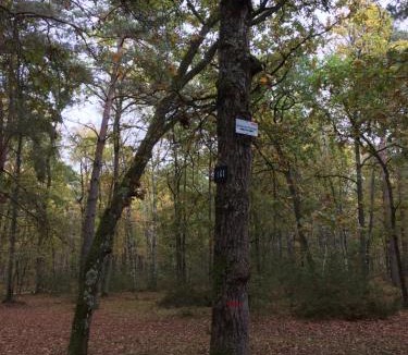 Noisy-sur-Ecole House | Gite cosy proche Fontainebleau et foret