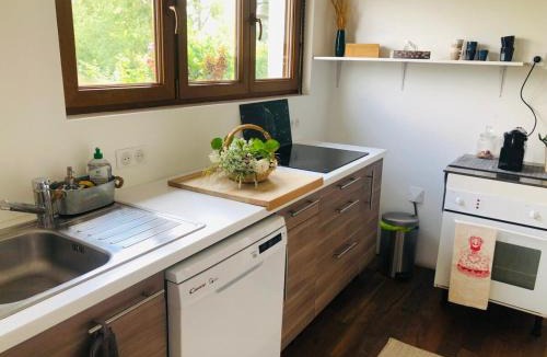 Bischwiller House | Gite du Ried