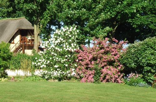 Le Tilleul House | Gite Les Lys Le Tilleul 2 mn ETRETAT; In a green and quiet setting,
