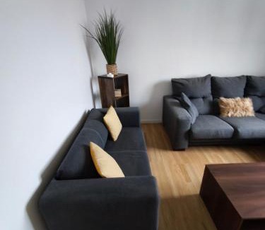 Boulogne-Centre Apartment | Grand appartement lumineux opaline