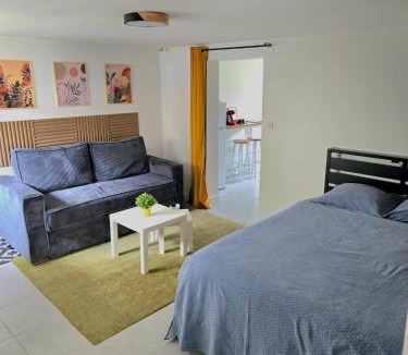 Epinay-sur-Seine Apartment | Grand studio cosy proche Paris