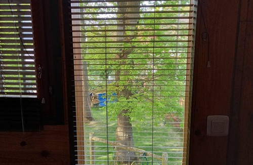 Villebon-sur-Yvette Cabin | Hanging tree house