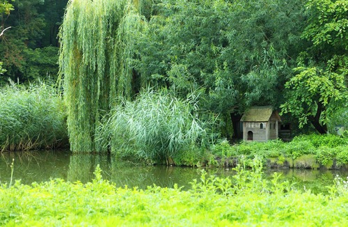 Crepy-en-Valois House | Historic French Chateau & Pool, Paris 35 minutes