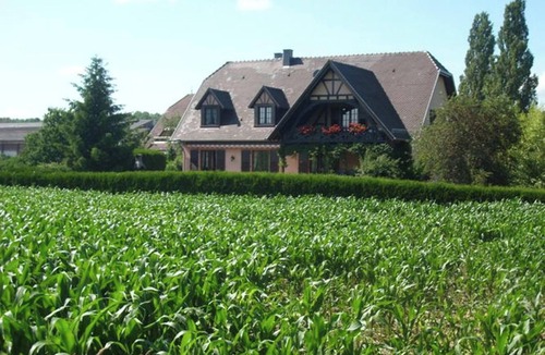 Hochfelden Apartment | Homerez - Charming Apartment in Hochfelden - 100 m² and Free Parking