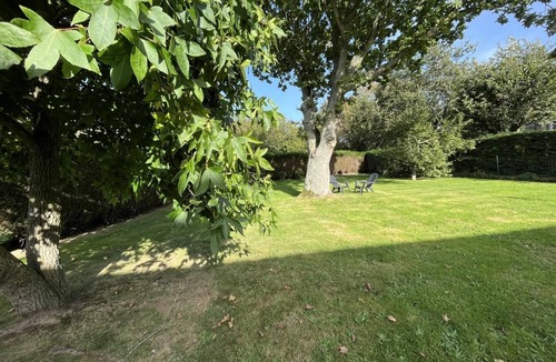 Saint-Leonard House | Hydrangeas - ST LEONARD