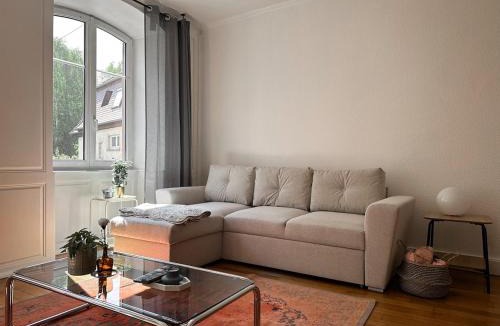 Saverne Apartment | Hypercentre T2 50 m2, Château des Rohan