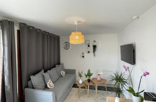 Tremblay-en-France Apartment | Joli T2, Terrasse et Jardin, Idéal pour familles, à 15 min de l'aéroport Roissy CDG