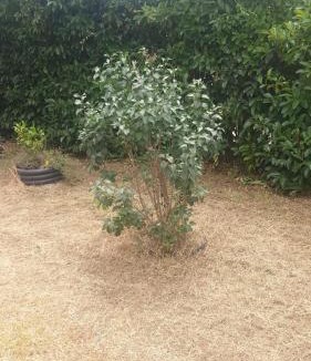 Abbazia House | Jolie villa 6 pers avec jardin