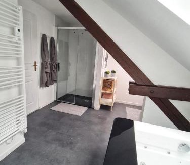 Bitche Apartment | l'Alchimiste
