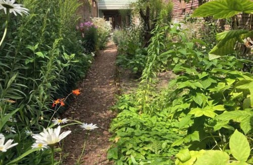 Henriville House | L'Amiénoise and its vegetable garden - Centre - Gare