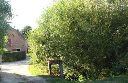 Vannes-sur-Cosson House | L'Ecurie - Solognese house with pond and horse meadows