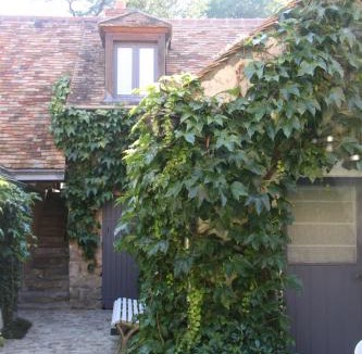 Rochefort-en-Yvelines Bed & Breakfast | L'Hibernie