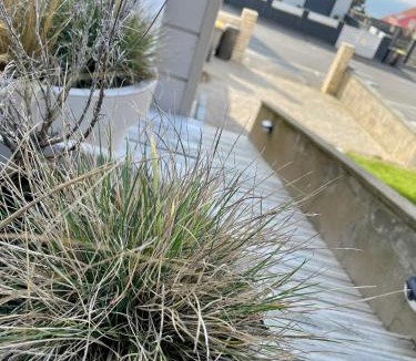 Equihen-Plage House | la Margaret Face mer