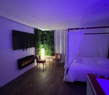 Saint-Jacques - Saint-Roch Apartment | La Suite Bali Jacuzzi,Sauna,Netflix,Disney
