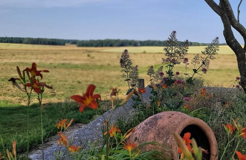 Corrobert House | Large capacity gîte in champagne.pets welcome!