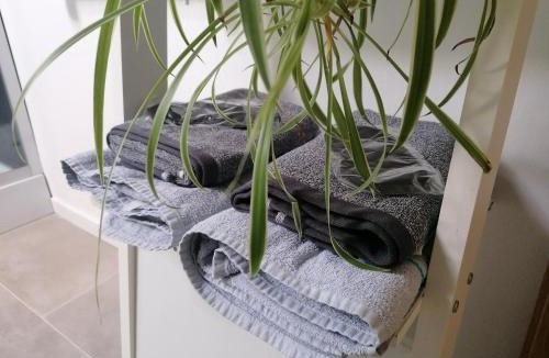 Chartres Apartment | Le Break Time