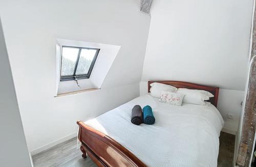 Centre Ville Apartment | Le Giuseppe - Nid central