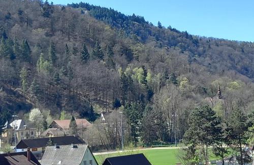 Kaysersberg-Vignoble Apartment | Le panorama - Appartement meublé 5 pièces cuisine salle de bain