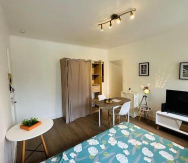 Charleville-Mezieres Apartment | Le Petit Gambetta