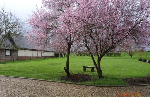Baillolet House | LE PETIT MARAIS