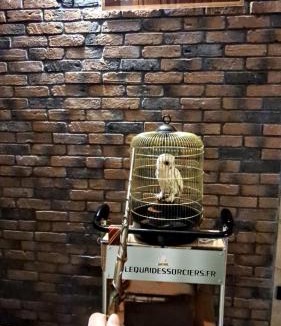 Haubourdin Apartment | Le Quai des sorciers 15 minutes de Lille
