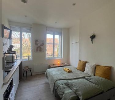 Douai Apartment | Le Rivage - Gare, Wifi, Parking, TV