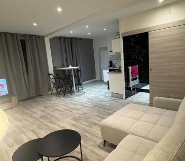 Bourg-en-Bresse Apartment | le spacieux appart